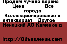 Продам чучело варана. › Цена ­ 15 000 - Все города Коллекционирование и антиквариат » Другое   . Ненецкий АО,Каменка д.